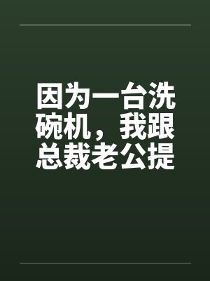 因为一台洗碗机，我跟总裁老公提了离婚