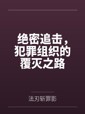 绝密追击，犯罪组织的覆灭之路