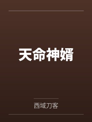 天命神婿