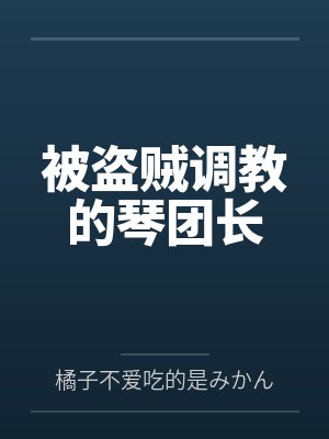 被盗贼调教的琴团长