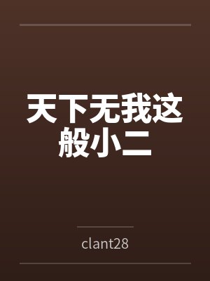 天下无我这般小二