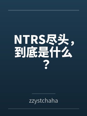 NTRS尽头，到底是什么？