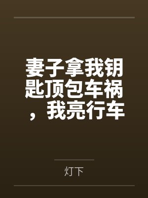 妻子拿我钥匙顶包车祸，我亮行车记录