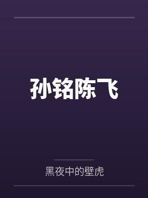 孙铭陈飞