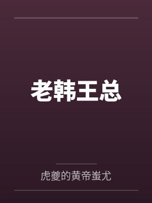老韩王总
