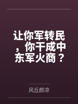 让你军转民，你干成中东军火商？