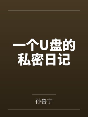 一个U盘的私密日记