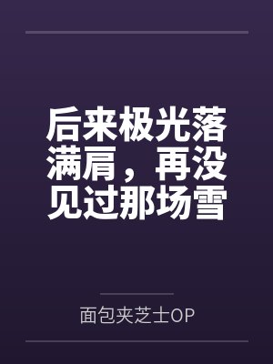 后来极光落满肩，再没见过那场雪