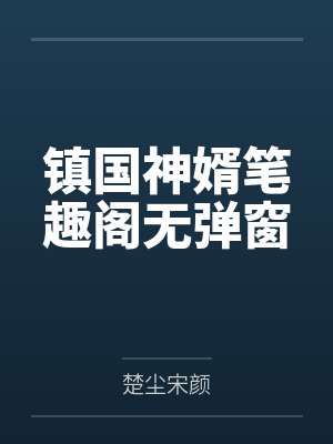 镇国神婿笔趣阁无弹窗
