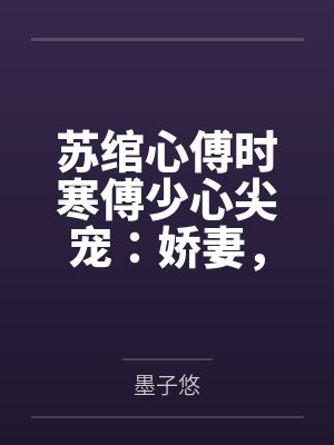 苏绾心傅时寒傅少心尖宠：娇妻，有点甜！