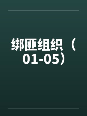 绑匪组织（01-05）