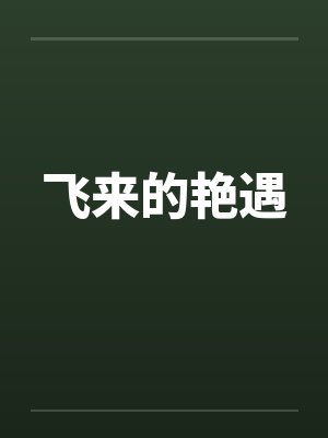 飞来的艳遇 飞来的艳遇