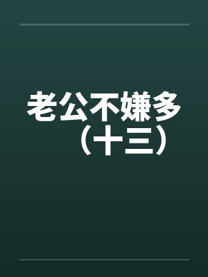 老公不嫌多(十三) 老公不嫌多(十三)