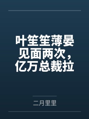 叶笙笙薄晏见面两次，亿万总裁拉我去领证