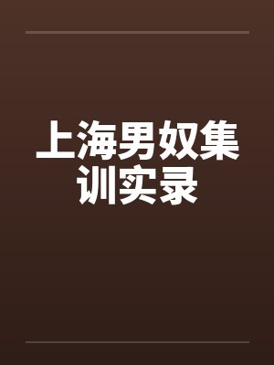 上海男奴集训实录 上海男奴集训实录