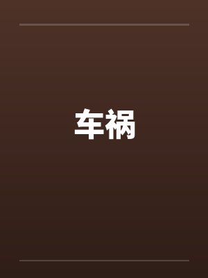 车祸 车祸
