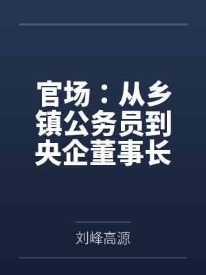 官场:从乡镇公务员到央企董事长 官场:从乡镇公务员到央企董事长
