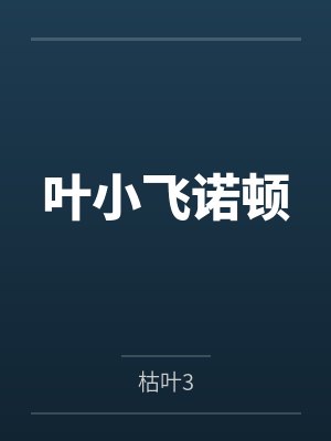 叶小飞诺顿