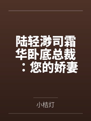 陆轻渺司霜华卧底总裁：您的娇妻已下线！