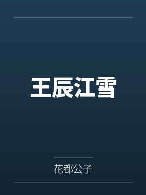 王辰江雪