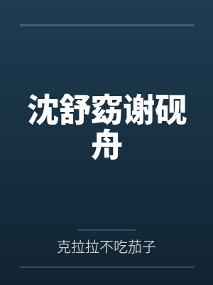 沈舒窈谢砚舟