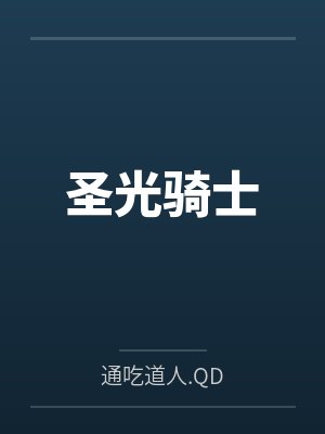 圣光骑士